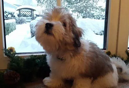 Haus Am Moos Bed and breakfast