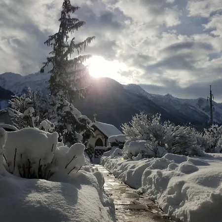 Haus Am Moos לינה וארוחת בוקר זלצבורג