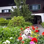 莫斯之家住宿加早餐旅馆 3*